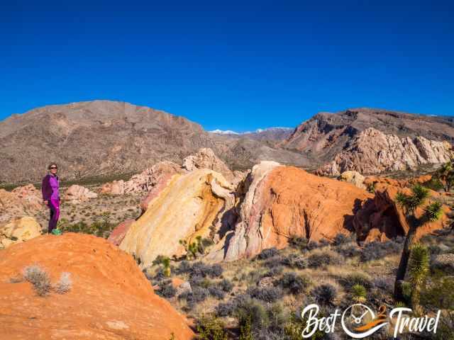 Gold Butte National Monument - Petroglyphs and Little Finland With ...